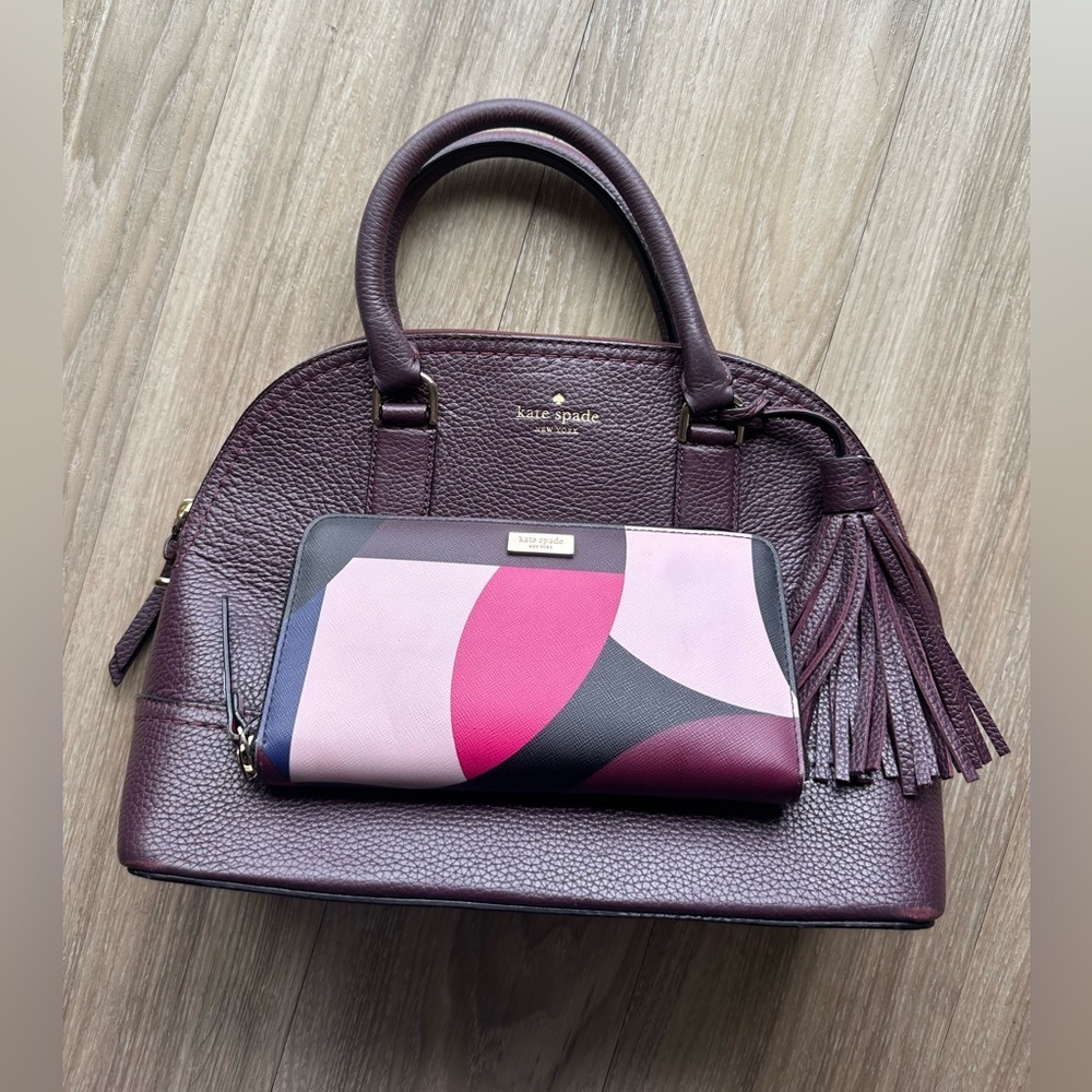 Kate Spade Burgundy Handbag and Multicolor Wallet Set